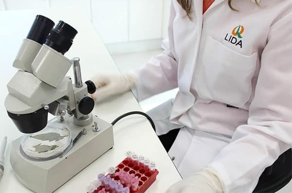 LIDA Plant Research mostrará sus estudios de biotecnología vegetal en el 4º Biostimulants World Congress