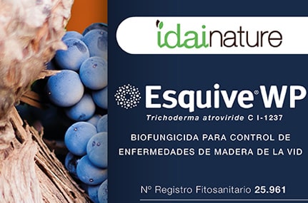 Idai Nature lanza ESQUIVE® en España, el biofungicida que acaba con las enfermedades de la madera de la vid