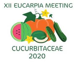 Cucurbitaceae2020