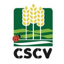 CSCV plagas enfermedades cereales