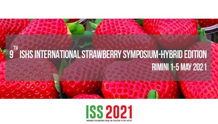 IX simposio internacional fresa