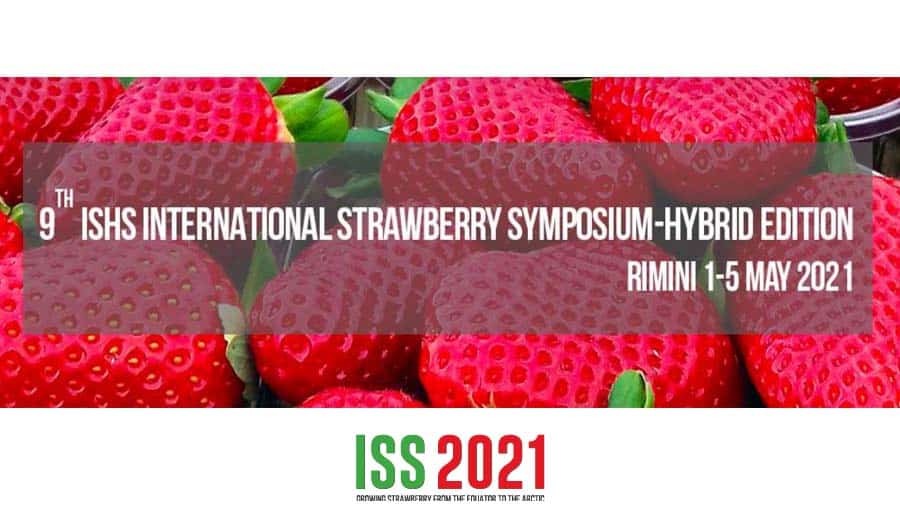 IX simposio internacional fresa