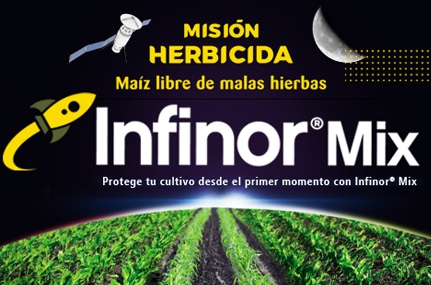 Infinor Mix ofrece un control óptimo contra las malas hierbas en maíz
