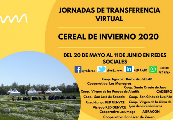 Jornadas de Transferencia Virtual - Cereal de Invierno 2020