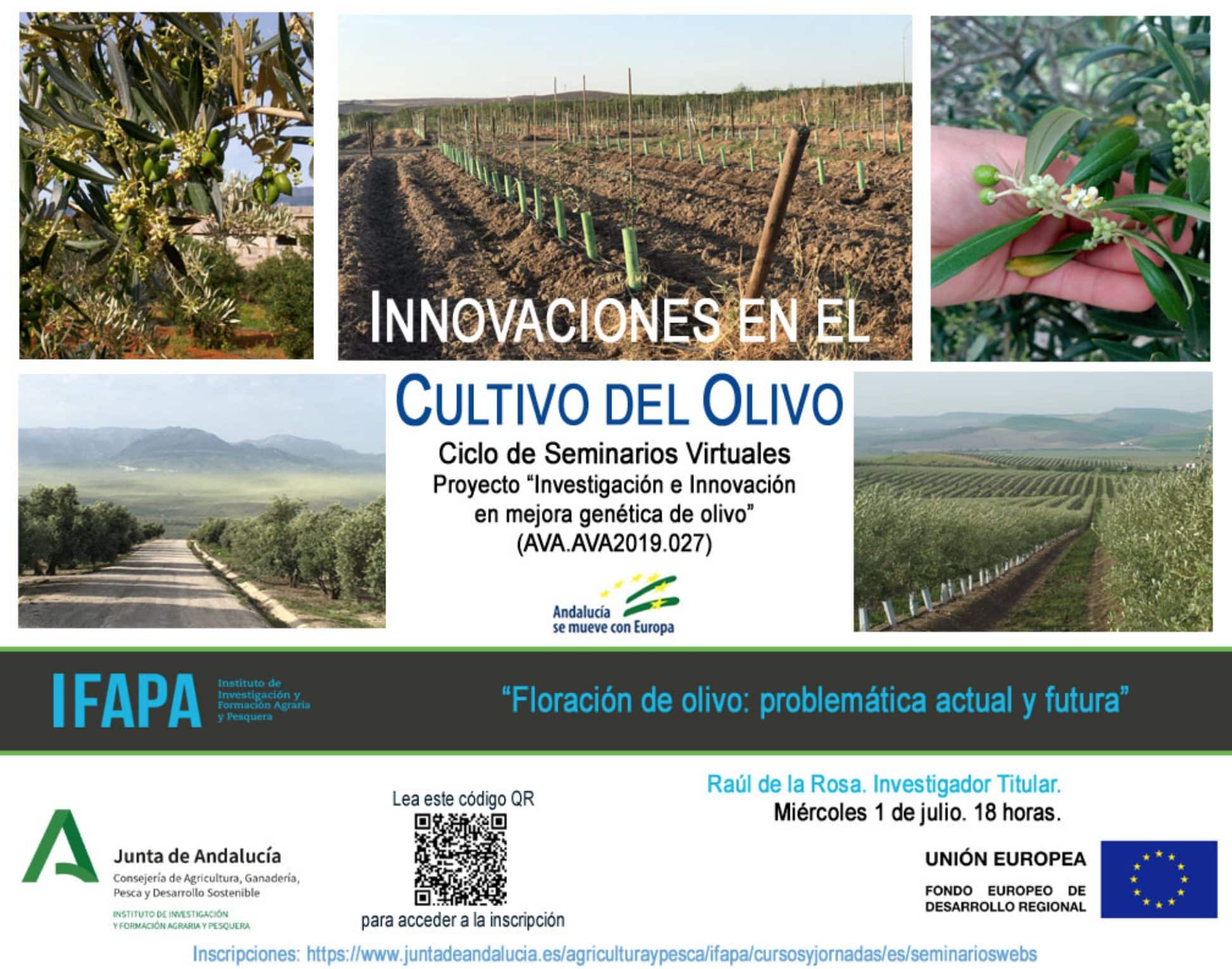 Seminarios Virtuales IFAPA: Innovaciones en el Cultivo del Olivo. Segunda jornada dedicada al proyecto “Investigación e innovación en mejora genética de olivo