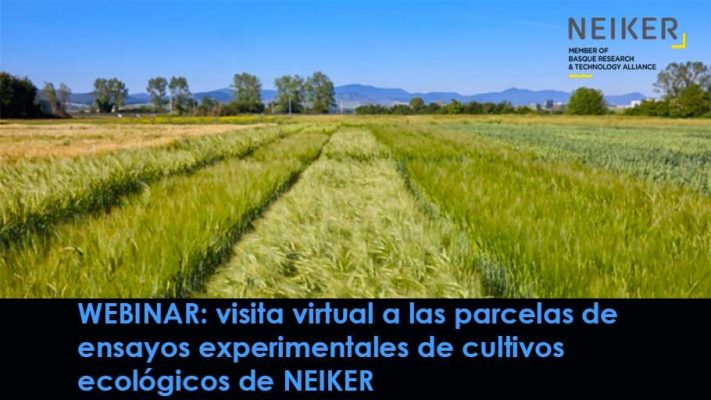 WEBINAR: visita virtual a las parcelas de ensayos experimentales de cultivos ecológicos de NEIKER