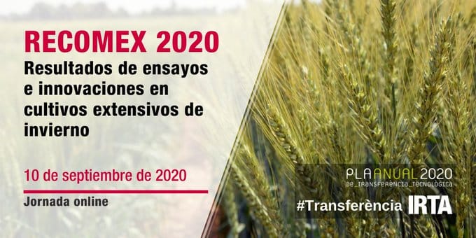 Jornada técnica #RECOMEX 2020: Resultados de ensayos e innovaciones en cultivos extensivos de invierno