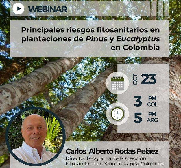 Webinar Principales riesgos fitosanitarios en plantaciones de Pinus y Eucalyptus en Colombia