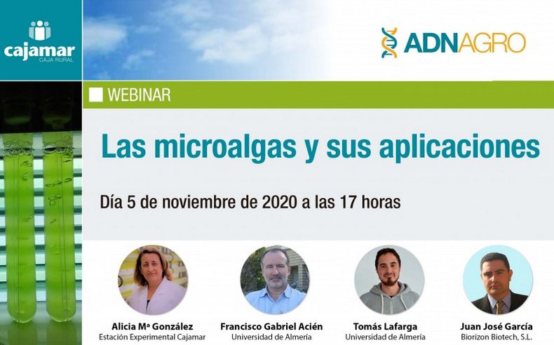 El webinar ‘Las microalgas y sus aplicaciones’, organizado por Cajamar Caja Rural