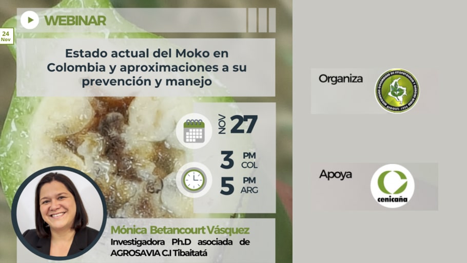 Estado actual del Moko en Colombia y aproximaciones a su prevención y manejo. Webinar ASCOLFI