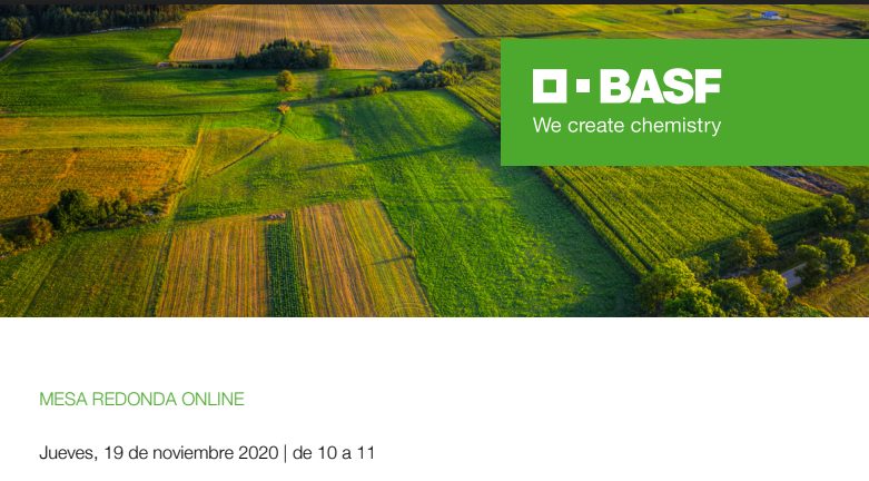 Mesa redonda Online de BASF