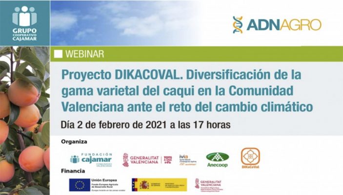 Proyecto DIKACOVAL. Diversificación de la gama varietal del caqui en la Comunidad Valenciana ante el reto del cambio climático