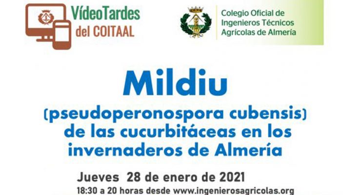 Mildiu de las Cucurbitaceas (Pseudoperonospora cubenis) en los invernaderos de Almería