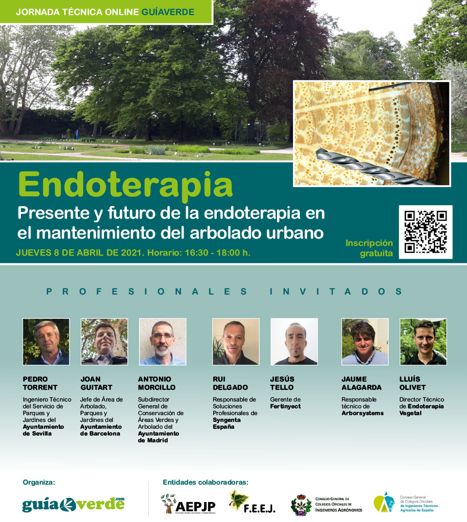 Jornada Online: Presente y futuro de la endoterapia en el mantenimiento del arbolado urbano