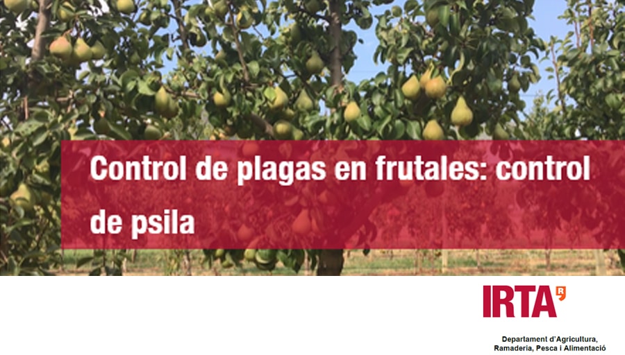 Jornada Tecnica Inline IRTA: Control de plagas en frutales: control de psila