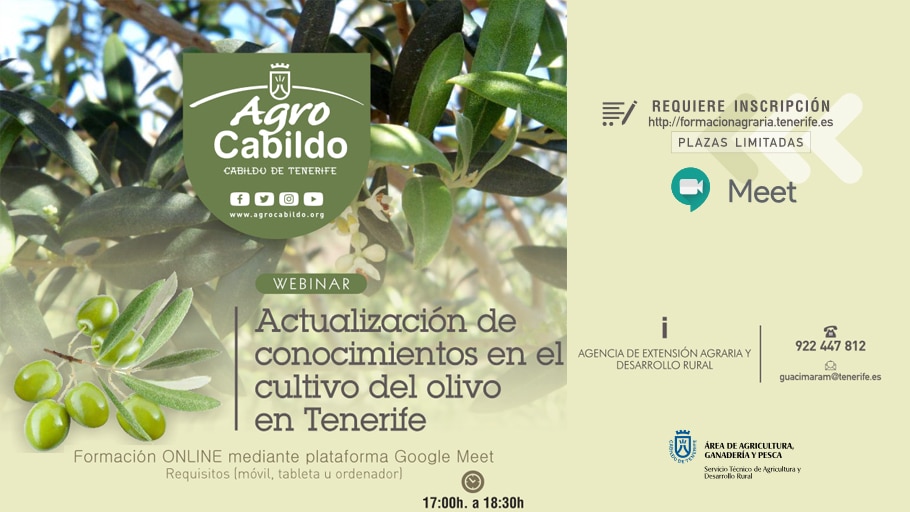 Seminario Web sobre la actualización de conocimientos en el cultivo del Olivo