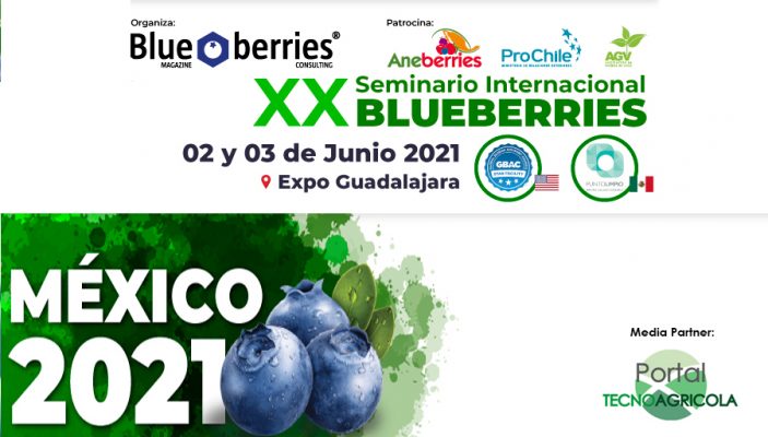 XX Seminario Internacional Blueberries Mexico 2021