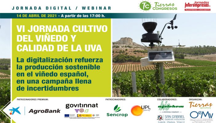 VI Jornada Cultivo del viñedo y calidad de la uva. La digitalización refuerza la producción sostenible en el viñedo español, en una campaña llena de incertidumbres