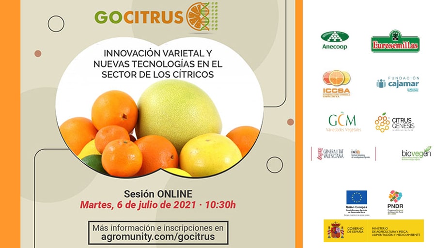 Jornada del Proyecto GOCITRUS: Innovación varietal y nuevas tecnologías en el sector de los cítricos