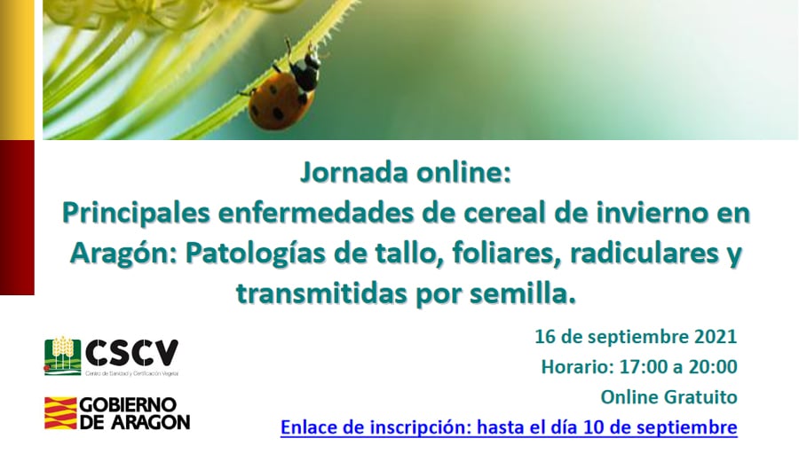 Jornada online sobre: Principales enfermedades de cereal de invierno en Aragón.