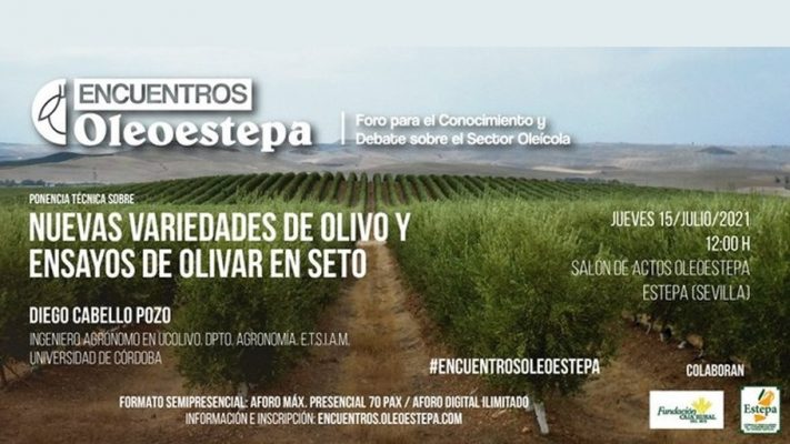 Ponencia: Nuevas variedades de olivo y ensayos de olivar en seto