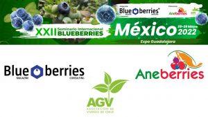XXII Seminario Internacional Blueberries México 2022