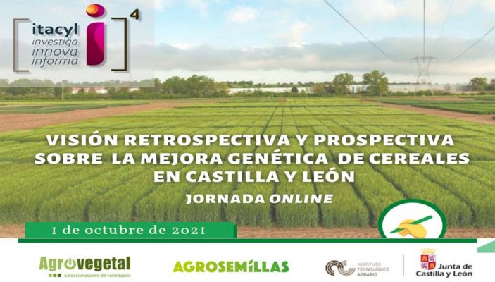 Jornada online: Mejora genética de cereales en Castilla y León