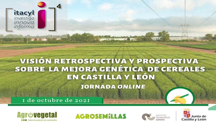 Jornada online: Mejora genética de cereales en Castilla y León