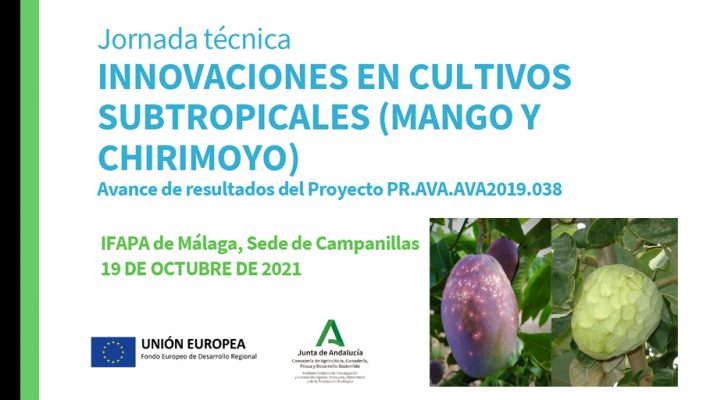 Jornada Técnica IFAPA: Innovaciones en cultivos subtropicales (mango y chirimoyo)