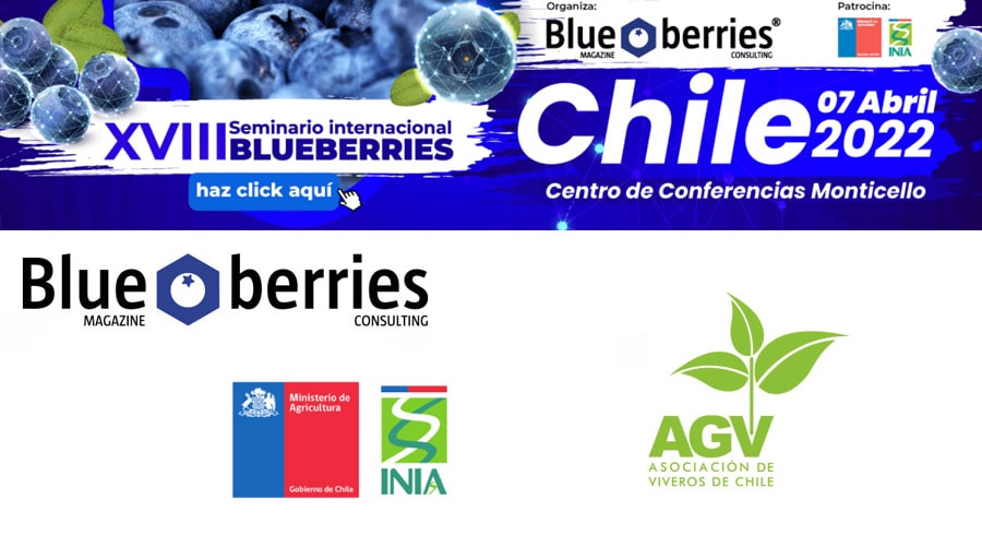 XVIII Seminario Internacional Blueberries Chile 2022