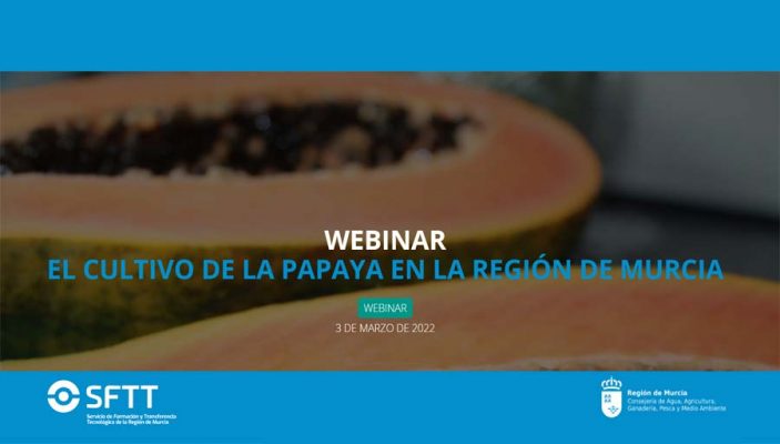 El cultivo de la papaya en la Región de Murcia