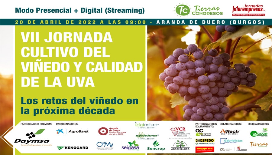 VII Jornada Cultivo del Viñedo y calidad de la Uva