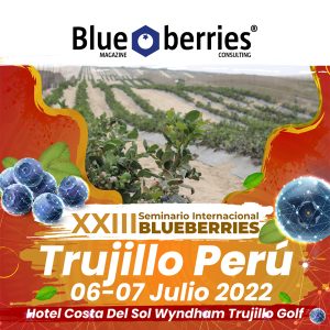 Seminario Internacional Blueberries Perú
