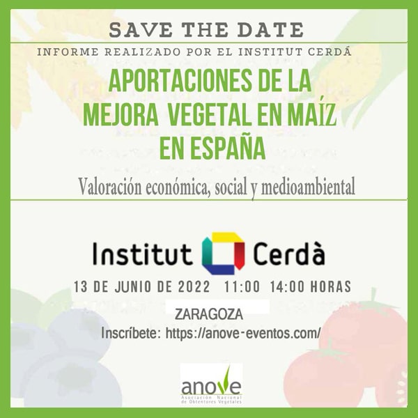 ANOVE presenta el informe: "Aportaciones de la mejora vegetal en maíz en España"