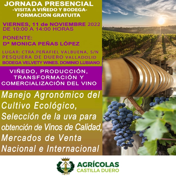COITA Castilla Duero: Jornada Técnica: Viñedo, Producción, Transformación y Comercialización del Vino