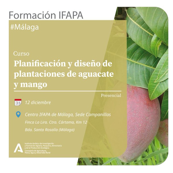 Formación IFAPA: PLANIFICACIÓN Y DISEÑO DE PLANTACIONES DE AGUACATE Y MANGO