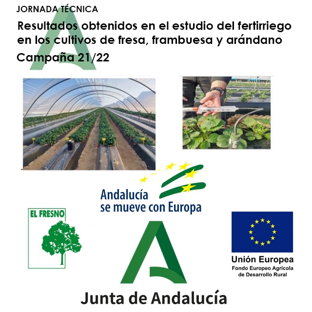 JORNADA TECNICA IFAPA. Resultados obtenidos en el estudio del fertirriego en los cultivos de fresa, frambuesa y arándano. Campaña 2021-2022.